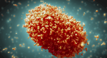 Vigilancia Epidemiológica emite aviso por mpox